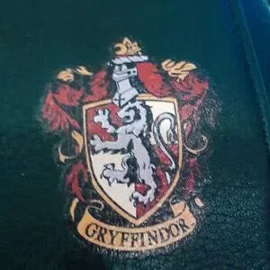 Damielle Miller | Bags | Griffinder Uniform Harry Potter 